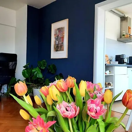 Appartement Cosy Lägenhet *